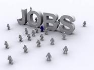  New Jobs 